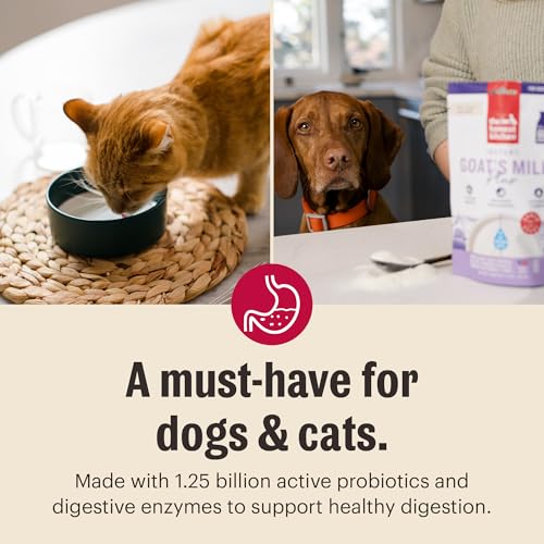The Honest Kitchen Human Grade Instant Goat's Milk Plus for Dogs and Cats, 11 Ounces - size: 11 Ounce (Pack of 1)