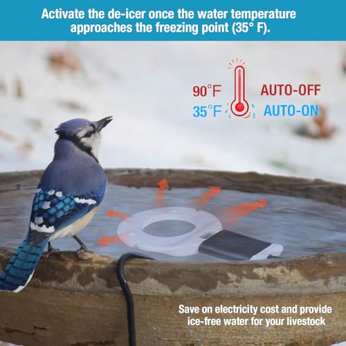 500W Chicken Waterer Heater, Cast Aluminum Utility De-Icer | for Max 50Gal, 5FT, Non-Conductive, Anti-Rust, Heated Chicken Waterer, Bird Bath Heater, Livestock Water Heater for Farm - size: 500-Watt
