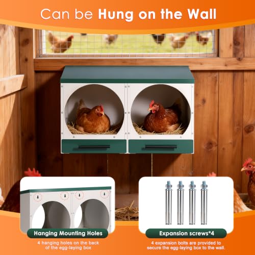 Chicken Nesting Box Roll Away Nest Boxes for Laying Hens 2 Compartments | Metal Nest Box for Chickens with Egg Collection Drawer & Lid Wall-Mounted Chicken Laying Boxes Perfect for Backyard and Farms