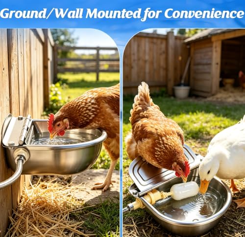 Automatic Chicken Waterer Stainless Steel with Drainage Hole | with Float Valve, Extended Pipe, Replacement Valve, Outdoor Auto Self Filling Water Bowl for Chicken,Duck,Geese, Poultry