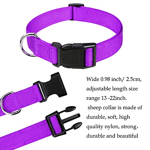 Goat Lead and Goat Collars Set Small Farm Animal Goat Sheep (Blue) | 4 Pieces Nylon 11 inch Sheep Lead with Reflective Strip Design and Nylon Goat Collar - color: Blue