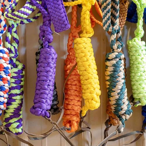 Jeffers Equine Braided Mule Tape Halter with 10' Detachable Lead Rope Set for Horses, 14 to 18 Hands - Stylish Design with Adjustable Poll Strap, Easy to Use Western Tack - Turquoise & Lime Green - color: Turquoise & Lime Green