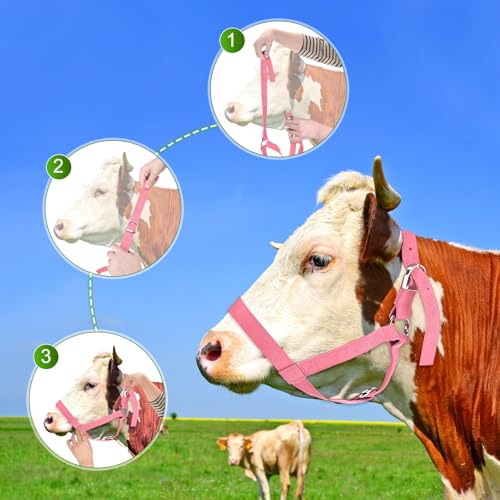 M METERXITY 2-Pack Adjustable Cattle Cow Calf Halter, 19.68"-23.62" Nylon Livestock Cow Halter with Leading Rope for Miniature Horse/Donkey/Goat/Cattle [Red]