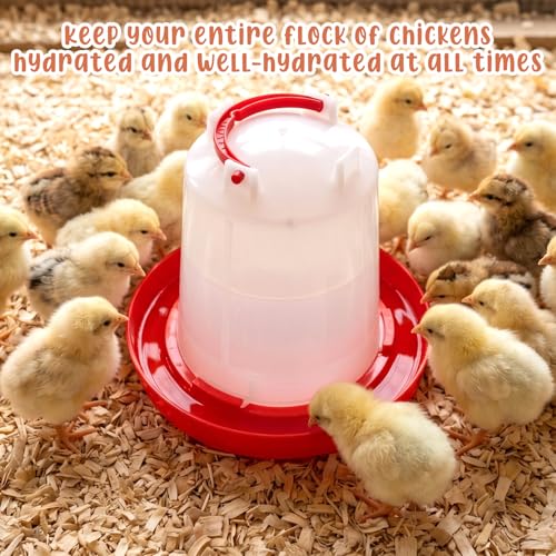 6 Pack Chick Waterer, 1L Poultry Water Feeder Plastic | Poultry Drinker with Handle, Chicken Water Dispenser, Waterer Hanging Poultry Water Container for Chickens Quail
