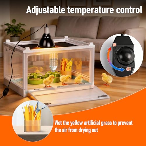 Chick Brooder Box with Adjustable Heat Lamp, Waterer & Feeder | Foldable Plastic Brooder Box for Chicken Chicks Ducks Quail Baby Birds, Transparent Visible, Easy to Clean, Waterproof