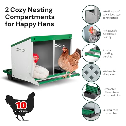 2-Compartment Reverse Roll Away Chicken Nesting Box for 10 Hens, Classic | Exterior Egg Collection, Clean & Protected Eggs, Removable & Washable Trays, Weatherproof Galvanized Steel, Well Ventilated