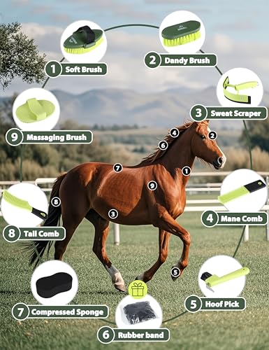 Shinewell Horse Grooming Kit, Complete Horse Brush Set, Equine Grooming Tools for Shedding & Daily Care Green - color: Green