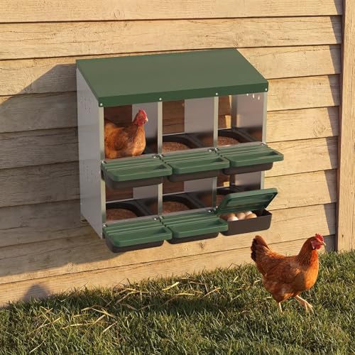 6-Compartment Chicken Nesting Box, Heavy Duty Galvanized Steel Poultry Nest Box, Wall Mount/Freestanding Design for Hens, Ducks, Backyard Homesteads & Farm Use, Green, with Soft Mats, No Stand - color: Green, size: 6 Room&Mat Board