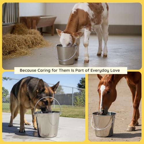 13 quart Heavy Duty Stainless Steel Round Bucket with Handle | 3.25 gal Sturdy Food & Water for XXL Dogs Goats sheep Horse & Livestock | Fits kennel Crate Cage Farm | Hanging Utility Pail - size: 13 Quarts