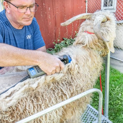Premier 1 4000s Shearing Package (4000s - 25T Comb) | Includes everything to get started with machine shearing. Removes wool for sale or show ring preparation. 25T comb included. - style: 4000s (25T Comb)