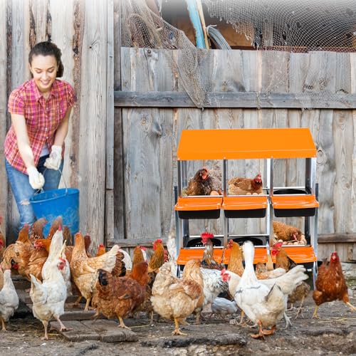 Nesting Boxes for Chickens, 6 Compartments Chicken Nesting Box, Chicken Laying Boxes with Lid Cover, Roll Away Nesting Box for Chickens Laying Egg, with Metal Bracket, Orange