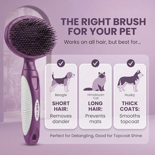 Round Bristle Pet Brush for Dogs and Cats - Soft Dog Brush for Grooming Short or Long Hair - Gentle Tool for Sensitive Skin Removes Dander, Dirt, and Detangles (Purple) - color: Purple