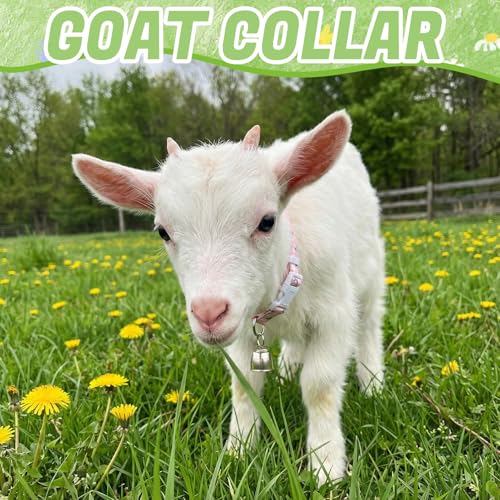 10 Pack Floral Goat Collars Adjustable Grazing Collar with Copper Bells | Anti-Lost Loud Bronze Bell for Farm Animals Sheep Cows Goats Accessories - color: 10 Pack
