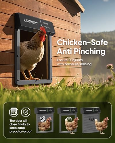 LARKBIRD Automatic Chicken Coop Door with Audio Recall Function, Gray | Solar & Battery Powered, Timer & Light Sensor, Bluetooth App Control, Anti-Pinch System - color: Gray