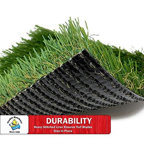 Cackle Hatchery Laying Hen Nest Box Turf - Easy to Clean & Lasts for Years in Chicken Nesting Boxes (6 Pack)