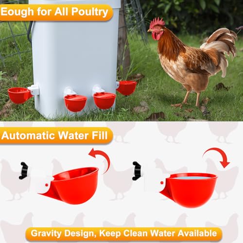 Chicken Water Cups 12 Pack, Automatic Filling Waterer Feeder Bowl, Gravity Poultry Watering System, Chicken Water Dispenser, Chicken Coop Accessories for Hens, Duck, Goose, Turkey (Red) - color: Red 12 cups