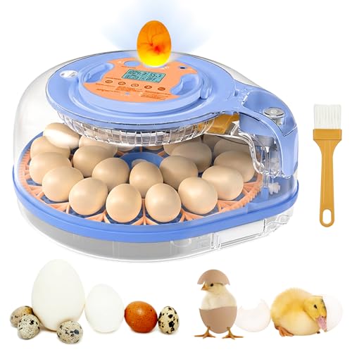 Incubators for Hatching Eggs, FAMEWARE 26 Egg Incubator with Voice Control, Auto Turning, Auto Humidity, °F/°C Switch & Egg Candler, Fits Chicken Bird Eggs - Blue - color: Blue