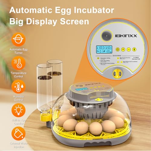 Incubator for Hatching Eggs - 12 Egg Capacity, 360° Viewing for Chicken | Automatic Temp & Humidity Control, Auto Egg Turning & Built-in Egg Candler for Chicken, Duck, Goose & Quail (Grey) - color: Grey, size: 12 Egg