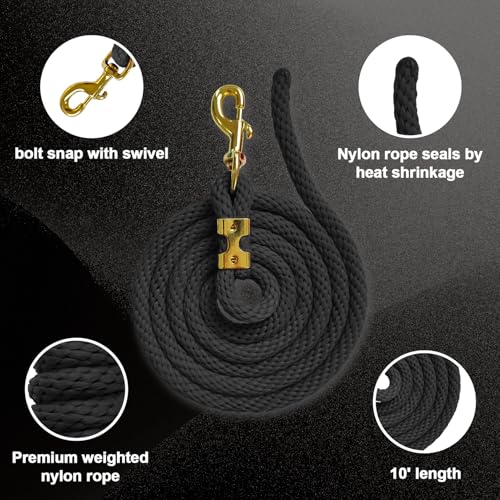 5/8" x 8' Nylon Horse Lead Rope with Cast Iron Hardware (Black) | Durable nylon material, cast iron hardware, ideal for daily use, training and showing. - color: Black
