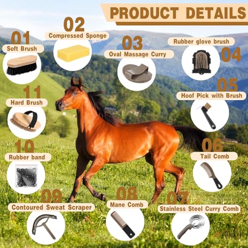 Abbylike 12 Pieces Horse Grooming Kit Racing Festival Tack Room Supplies Horse Brush Sets Equine Care Cleaning Kit Shedding Grooming Massaging Tools(Dark Gray) - color: Dark Gray