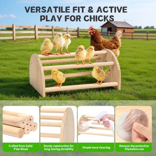 Pine Chicks Perch with Mirror, Strong Chick Jungle Gym Roosting Bar, Chicken Perch Toys for Coop and Brooder, Training Perch Toys for Large Bird, Parrot, Macaw, Hens (Large) - size: Large