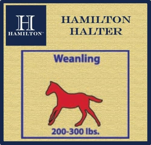 Hamilton Quality Adjustable Horse Halter, 200-300 lbs, Dark Green | Premium Quality 3/4" Triple Ply Nylon, Weanling/Large Pony, Adjustable Chin Strap, Rolled Throat, Brass Plated Hardware - color: Dark Green, size: Weanling, 200-300lbs
