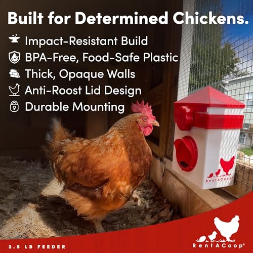 RentACoop Chick2Chicken 2.5lb BPA-Free Single-Port No-Waste Chicken Feeder