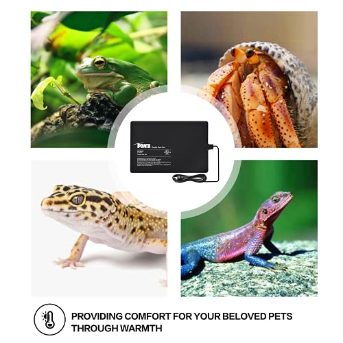 iPower 8X12 Inch Reptile Heat Pad Under Tank Heater Terrarium Warmer Heating Mat and Digital Thermostat Controller for Turtles Lizards Frogs and Other Small Animals - size: 8 X 12 Inch, style: Pad + Thermostat