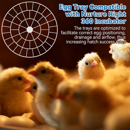 Enhon 48 Egg Tray Compatible with Nurture Right 360 Incubator, Plastic Egg Turner Tray Replacement for Hatching Small Quail Bird Chicken Goose Turkey, Hand Washable, Various Sizes (Pack of 2) - size: 12.2"L x 12.2"W x 0.8"H (Pack of 2)