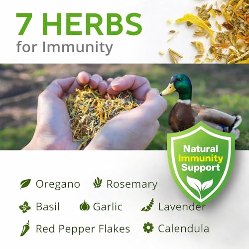 Herb Supplement for Ducks - Natural Waterfowl Treat, Botanical Duck Feed Additive, Plant-Based Flock Support for Egg Production, Feather Health & Daily Wellness, Handcrafted in USA (12 oz)