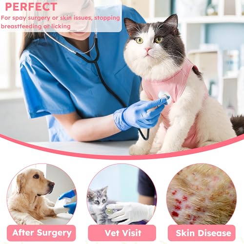 Hpetppy Cat Recovery Suit, Breathable Cat Surgery Recovery Suit Female, Cat Onesie for Cats After Surgery Spay Surgical Abdominal Wound Skin Diseases Cone of Shame Alternative (Pink,S) - color: Pink, size: Small