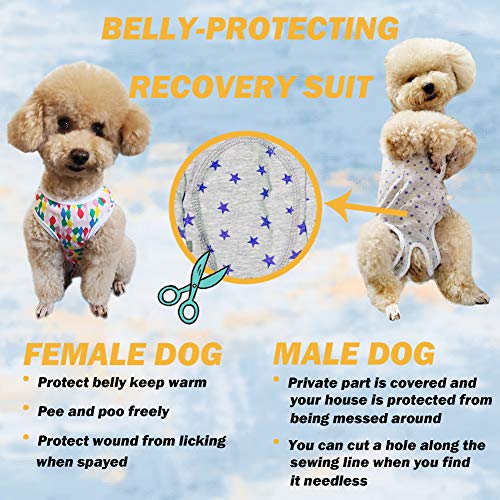 Dog’s Recovery Suit Post Surgery Shirt for Puppy, Wound Protective Clothes for Little Animals(Green Black Stripe-XXS) - color: green black stripe, size: XX-Small