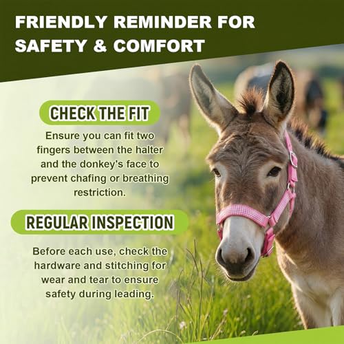 1 Set Mini Donkey Halter with Lead Rope Adjust, Pink | Nylon Head Collar, Cute and Stylish, for Miniature Donkey and Small Equines, Farm Ranch Pasture Outdoor, Gingham Plaid Trim - color: Pink