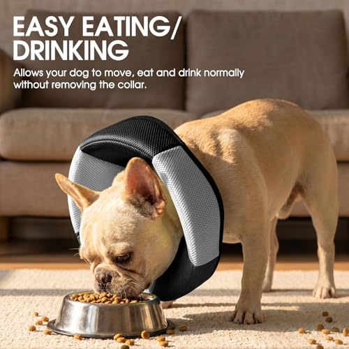 Soft Cone, Large Dog Cone Alternative for Recovery, Black - color: Black, size: Large