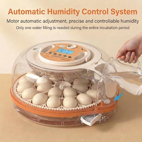 26-59 Egg Incubator,incubators for hatching eggs | AIVoice-Controlled Machine,Temperature & Humidity Control, Built-in Egg Candler, 360° View Clear Lid - color: Orange