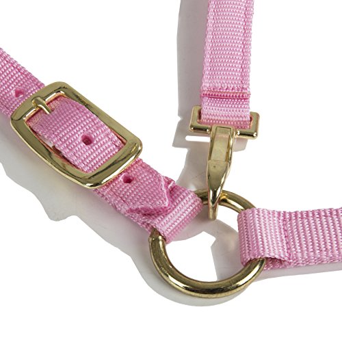 Intrepid International Durable Nylon Miniature Horse Halter w/Adjustable Chin & Throat Snap - color: Pink