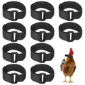 M METERXITY 10-Pack Rooster Collars, 8.07" x 0.79" Adjustable Soft Polyester Anti-Noise Neck Belt for Chickens and Poultry Birds, Noise Control Collar [Black] - color: Black