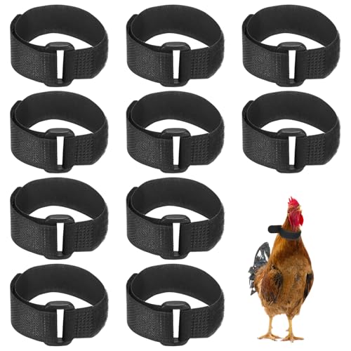 M METERXITY 10-Pack Rooster Collars, 8.07" x 0.79" Adjustable Soft Polyester Anti-Noise Neck Belt for Chickens and Poultry Birds, Noise Control Collar [Black] - color: Black