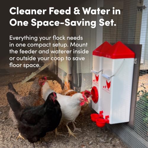 RentACoop High Rise 2 Gallon Chicken Waterer and 10lb Feeder Set