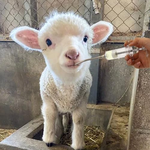 30ml Reusable Goat Syringe with 2 Drench Nozzle,Adjustable Dosage Detachable Drench Syringe for Sheep,Rabbit,Cat,Dog ,Goat Suppplies