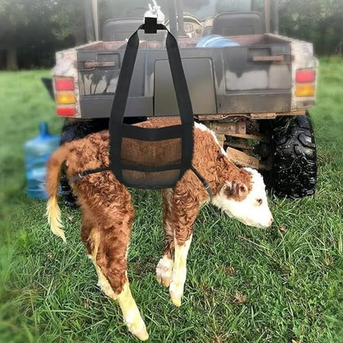 Calf Sling for Weighing Animals Heavy-Duty Nylon Hanging Weight Scale Sling | Adjustable Straps & Metal D-Ring, Animal Weighing Bag for Newborn Calves, Lambs, Goats, Baby Alpacas, Livestock, Dogs
