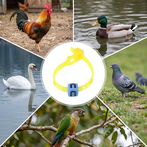 100 PCS Colorful Numbered Chickens Identification Leg-Rings, Adjustable Chicken Leg Bands with 200 PCS Charms Accessories, Chick Tags, Poultry Identification Leg Bands for Chicken, Duck, Goose (14cm)