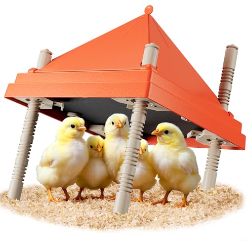Chick Brooder Heating Plate 10" x 10" with Anti-Roosting Cone, Stepless Adjustable Height for Up to 15 Chicks, Energy Efficient Mother Hen Brooder for Poultry - color: ORG-10