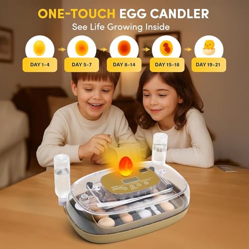 24 Egg Incubator, Incubators for Hatching Eggs with Fully Automatic Turner & Candler, Smart Temperature & Humidity Control, 360° View, Hatching Chicken, Duck, Quail, Goose Eggs for Farm, Home, School