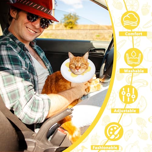 Cat Cone Collar Soft, Adjustable Cat Recovery Cone (Egg, M) | Stop Licking, Cute Kitten Donut Collar After Surgery, Elizabethan Collars for Kittens, Lightweight Cats Neck Cones - color: Egg, size: Medium