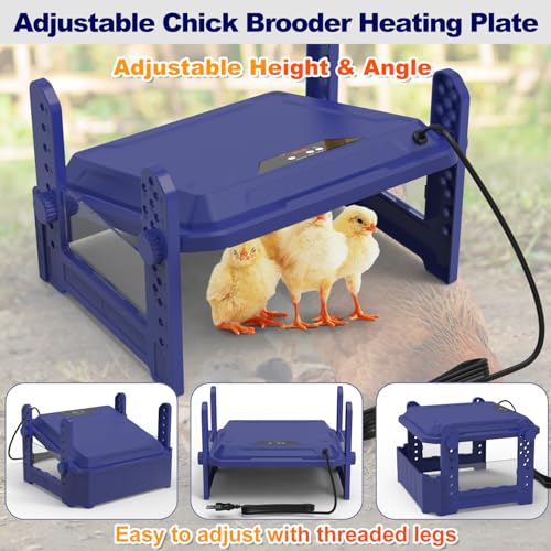 Chick Brooder Heating Plate with Adjustable Temperature, 12"x12" Chicken Brooder Heater for Baby Chicks, Ducklings, Safer Alternative to Heat Lamps, Adjustable Height, 65W Brooder Plate(Blue) - size: 12"x12"