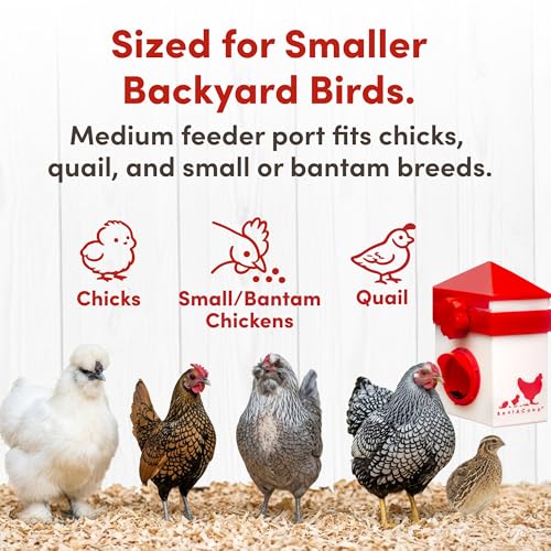 RentACoop Chick2Chicken 2.5lb BPA-Free Single-Port No-Waste Chicken Feeder