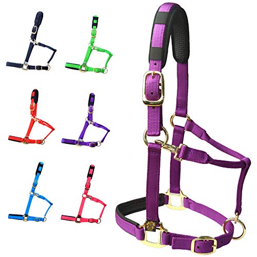 T TEKE Adjustable Horse Halters by Heavy Duty Soft Nylon, Padded with Anti-rubbing Waffle Neoprene on Both Crown & Nose - color: Purple, size: XXS Pony