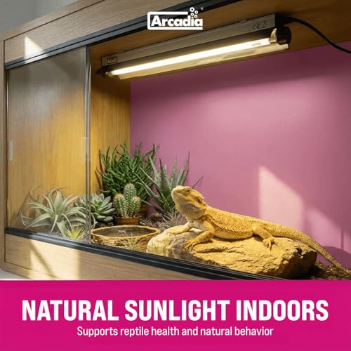 Arcadia T5 UVB Reptile Light Fixture Kit 24" Long 24 Watts 14% UVB Dragon – Complete UVB Light for Reptiles, Turtles, Snake, Bearded Dragon Lamp, Long Lasting Easy to Use Professional Lighting