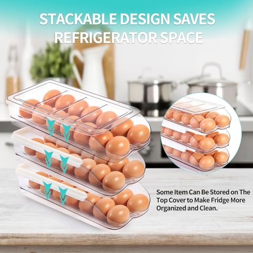 RoskDeewat Egg Holder for Fridge, Automatic Rolling Egg Container for Refrigerator, Stackable Fridge Organizers and Storage with Lid, Clear Plastic Egg Dispenser & Tray (2 Tier) (Pack of 2) - size: 2 Tiers Holder 28 Eggs (Pack of 2)